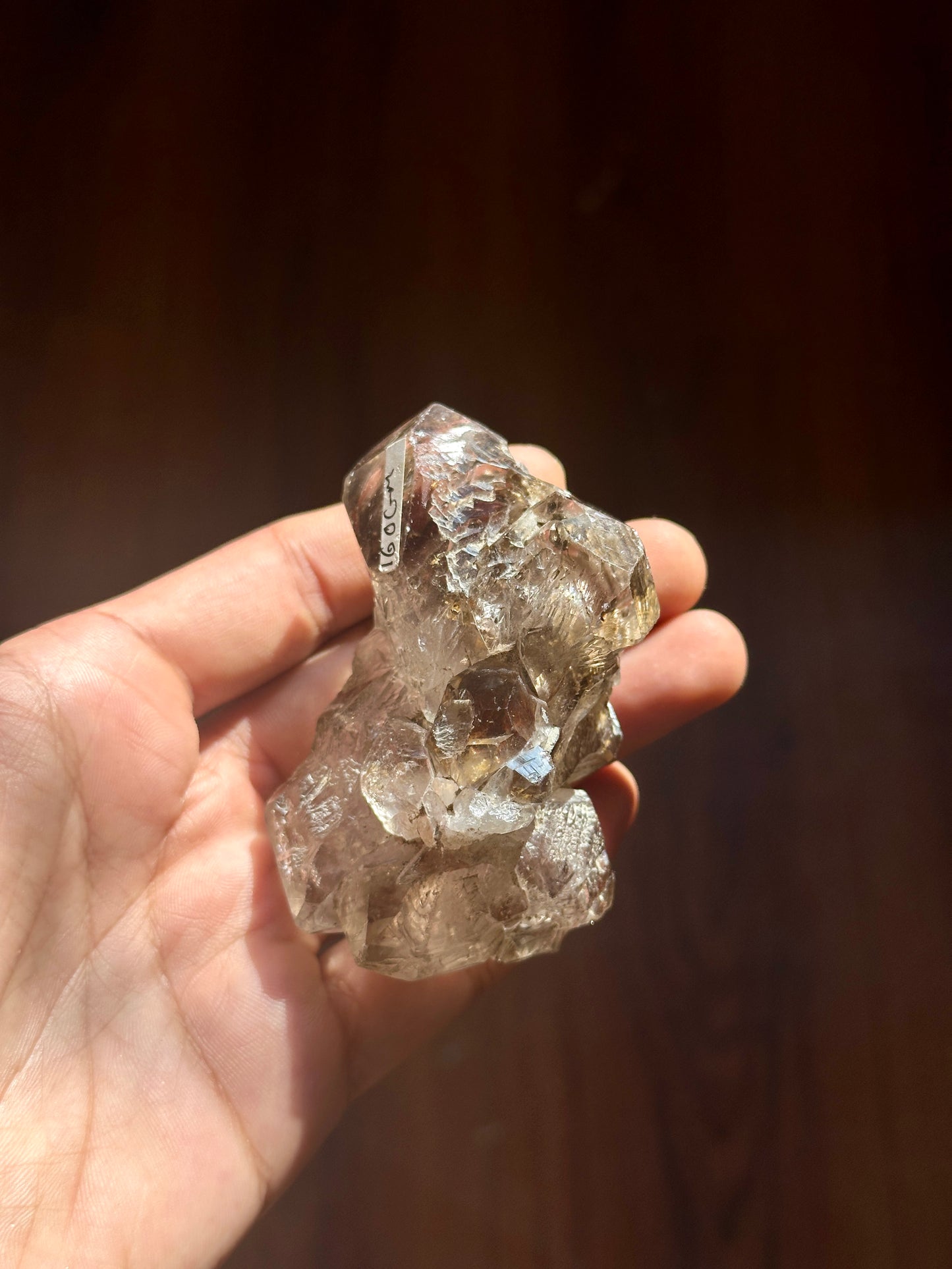 Elestial Quartz with Strawberry Quartz, Hematite, Goethite, and Epidote Inclusions,