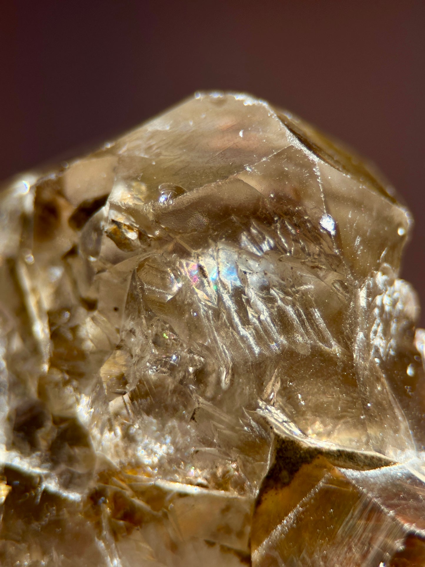 Elestial Quartz with Strawberry Quartz, Hematite, Goethite, and Epidote Inclusions,