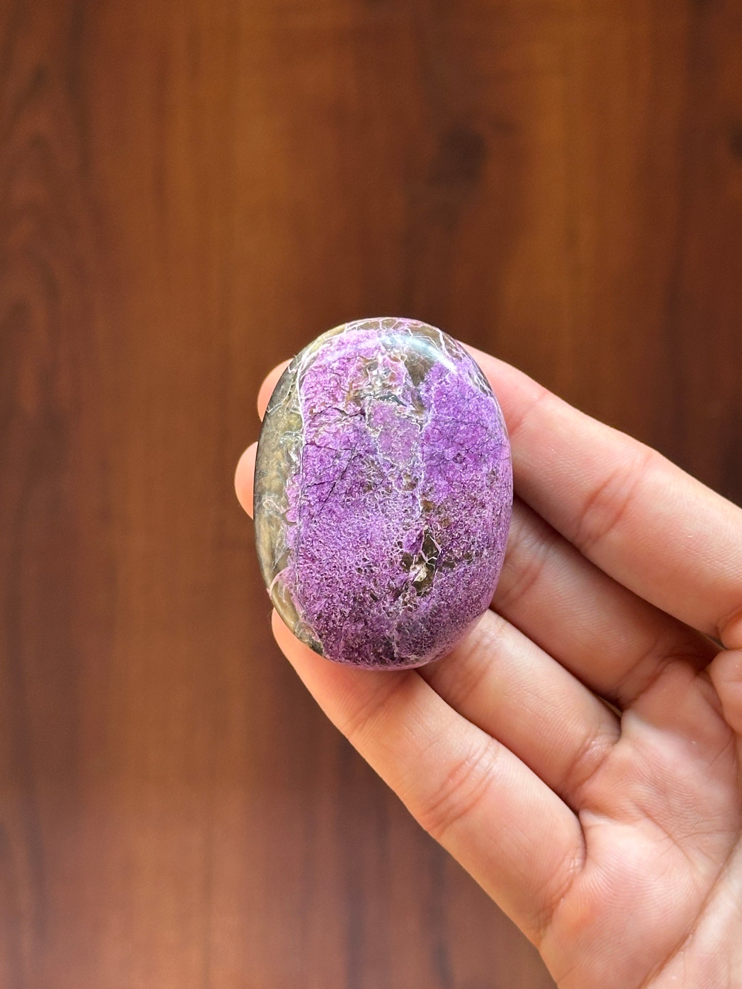 Stichtite (Atlantisite) Palmstone