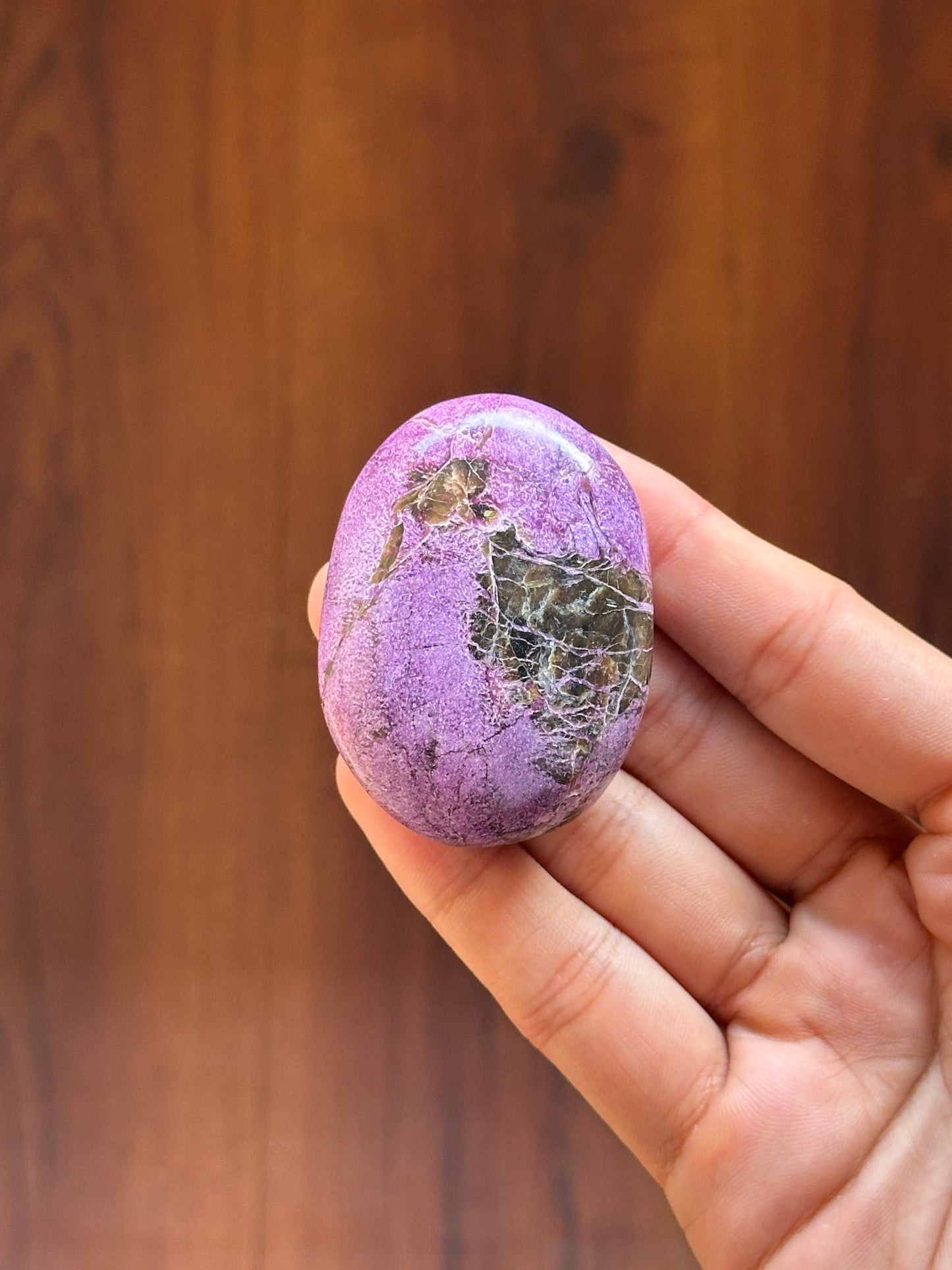 Stichtite (Atlantisite) Palmstone