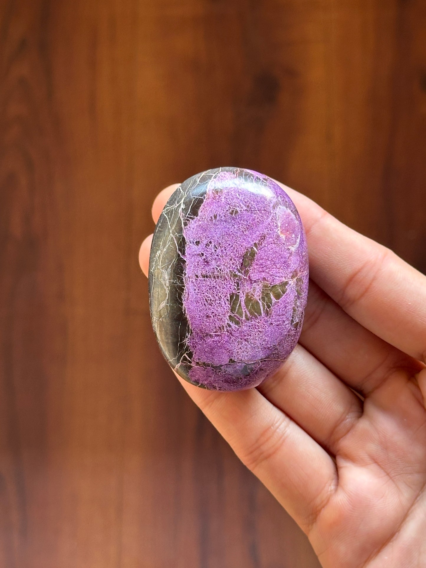 Stichtite (Atlantisite) Palmstone