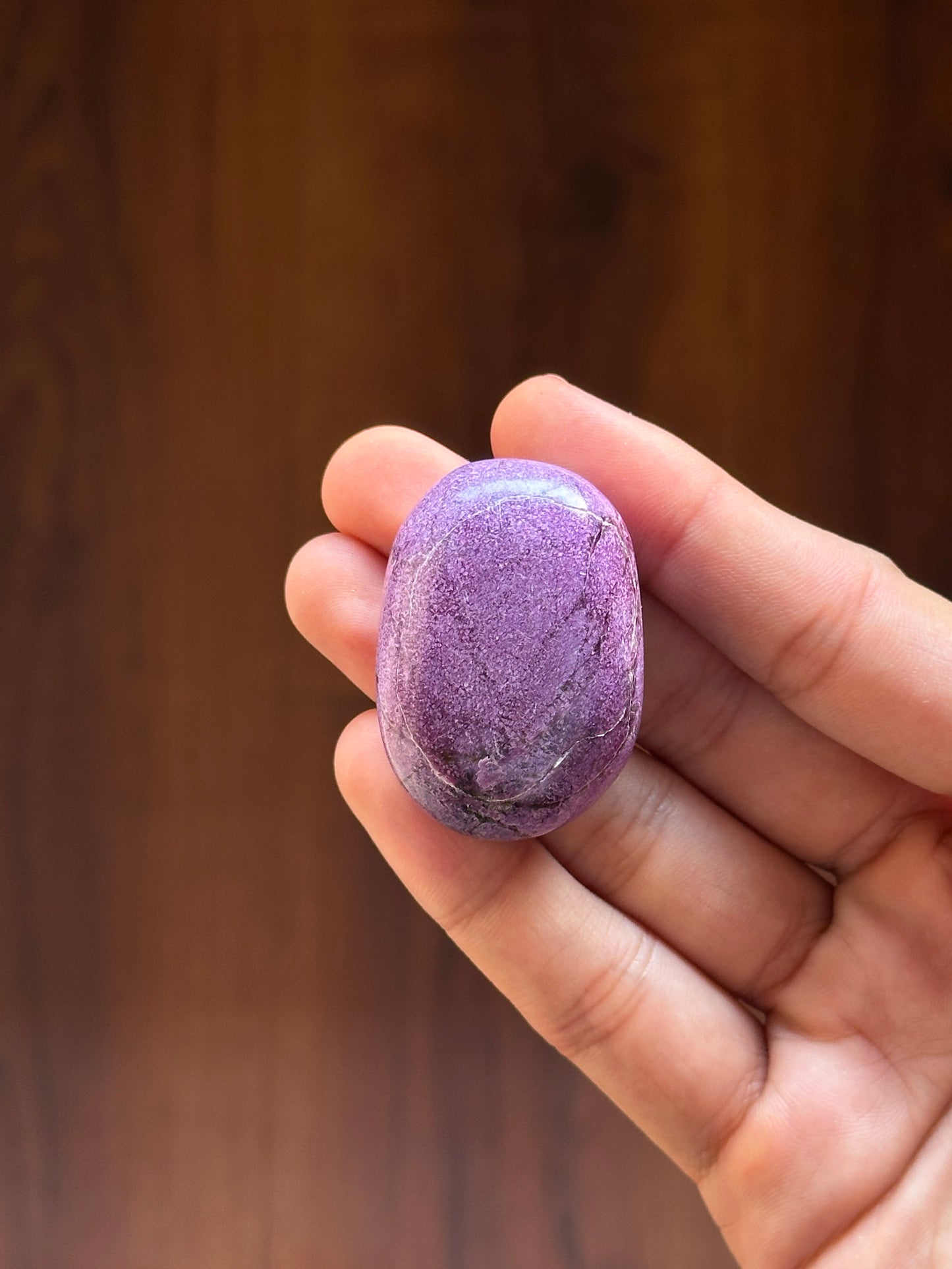 Stichtite (Atlantisite) Palmstone
