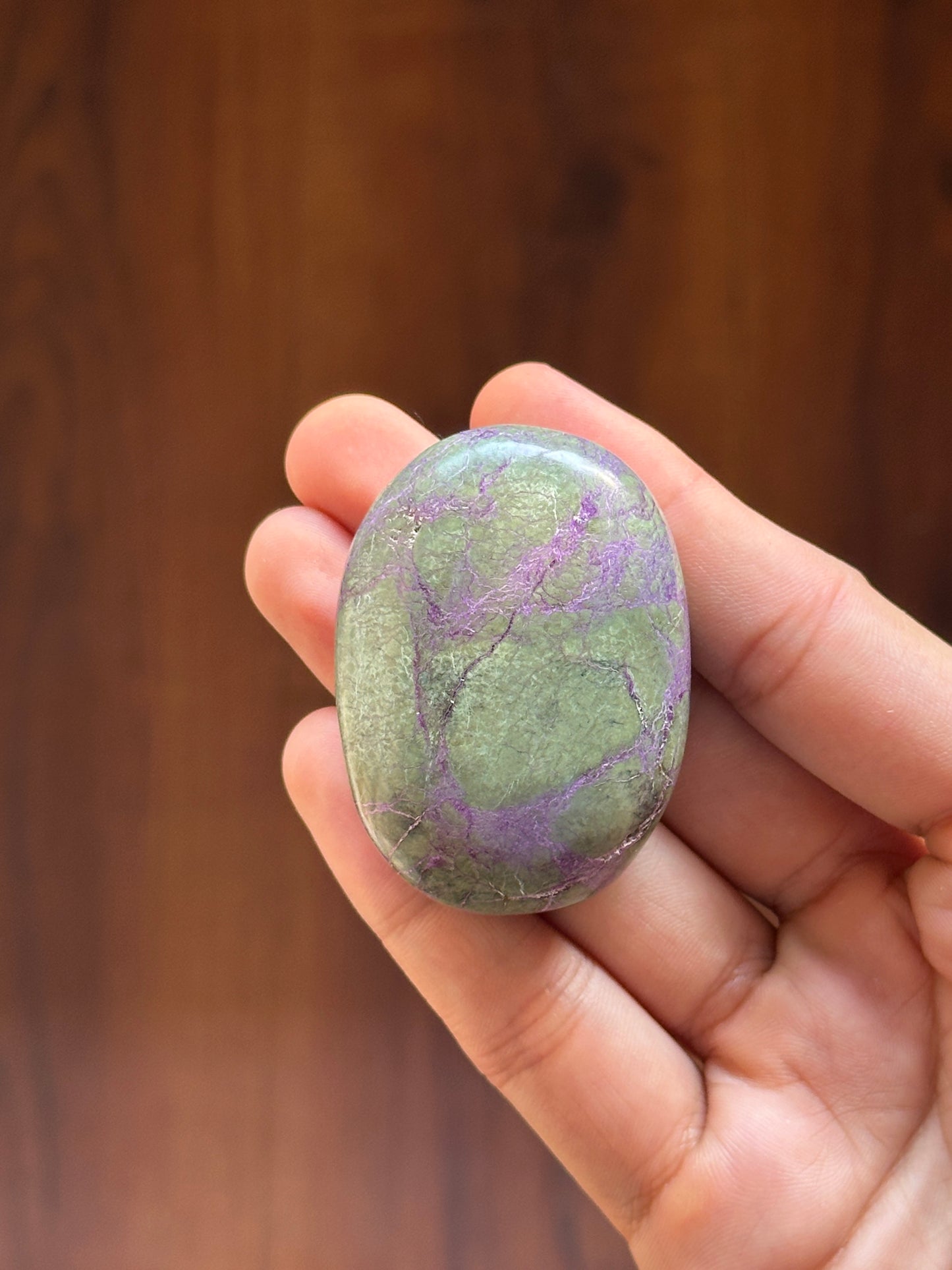 Stichtite (Atlantisite) Palmstone