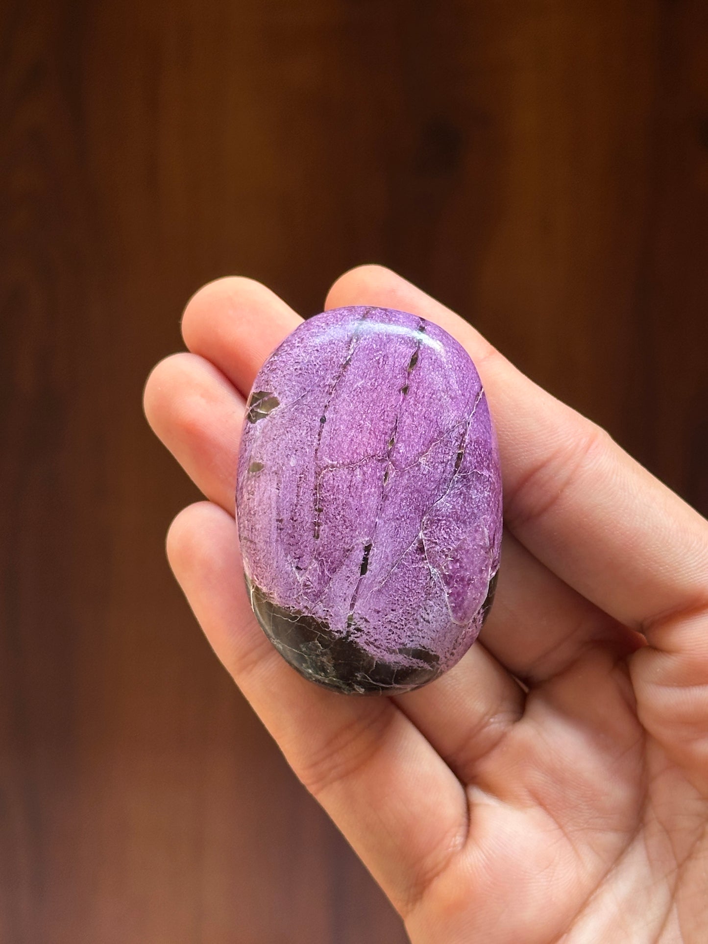 Stichtite (Atlantisite) Palmstone