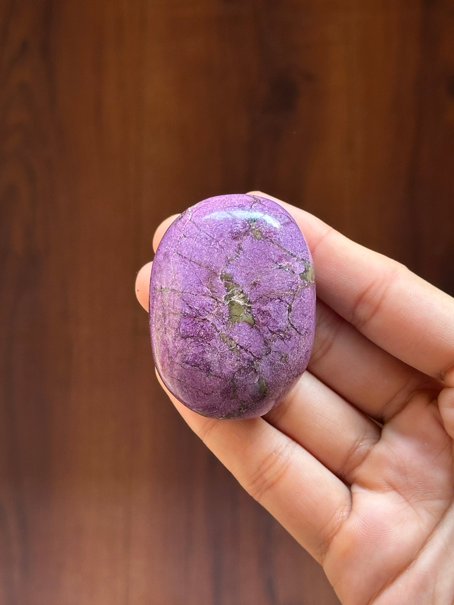 Stichtite (Atlantisite) Palmstone