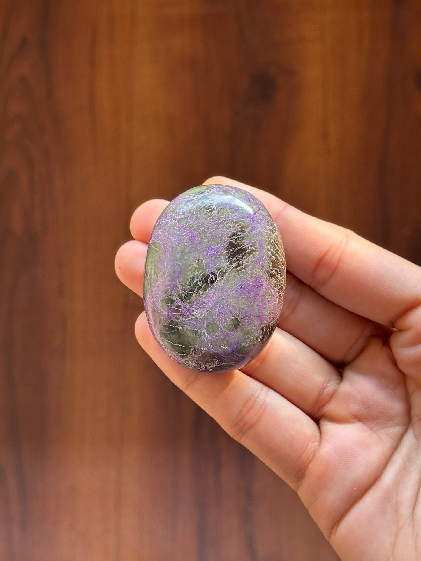 Stichtite (Atlantisite) Palmstone
