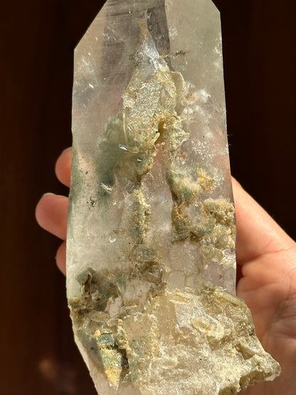 Himalayan Chlorite Quartz with Golden Rutile