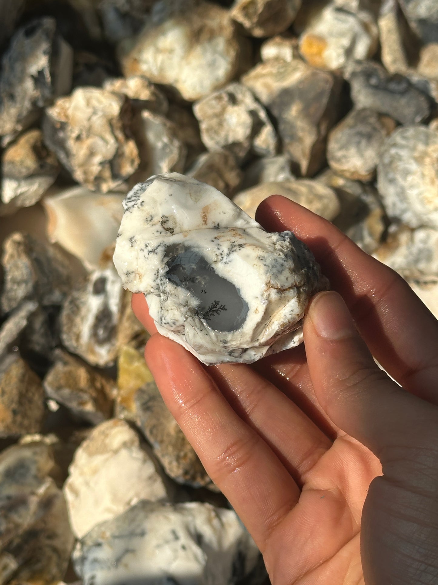 Dendritic Agate Rough