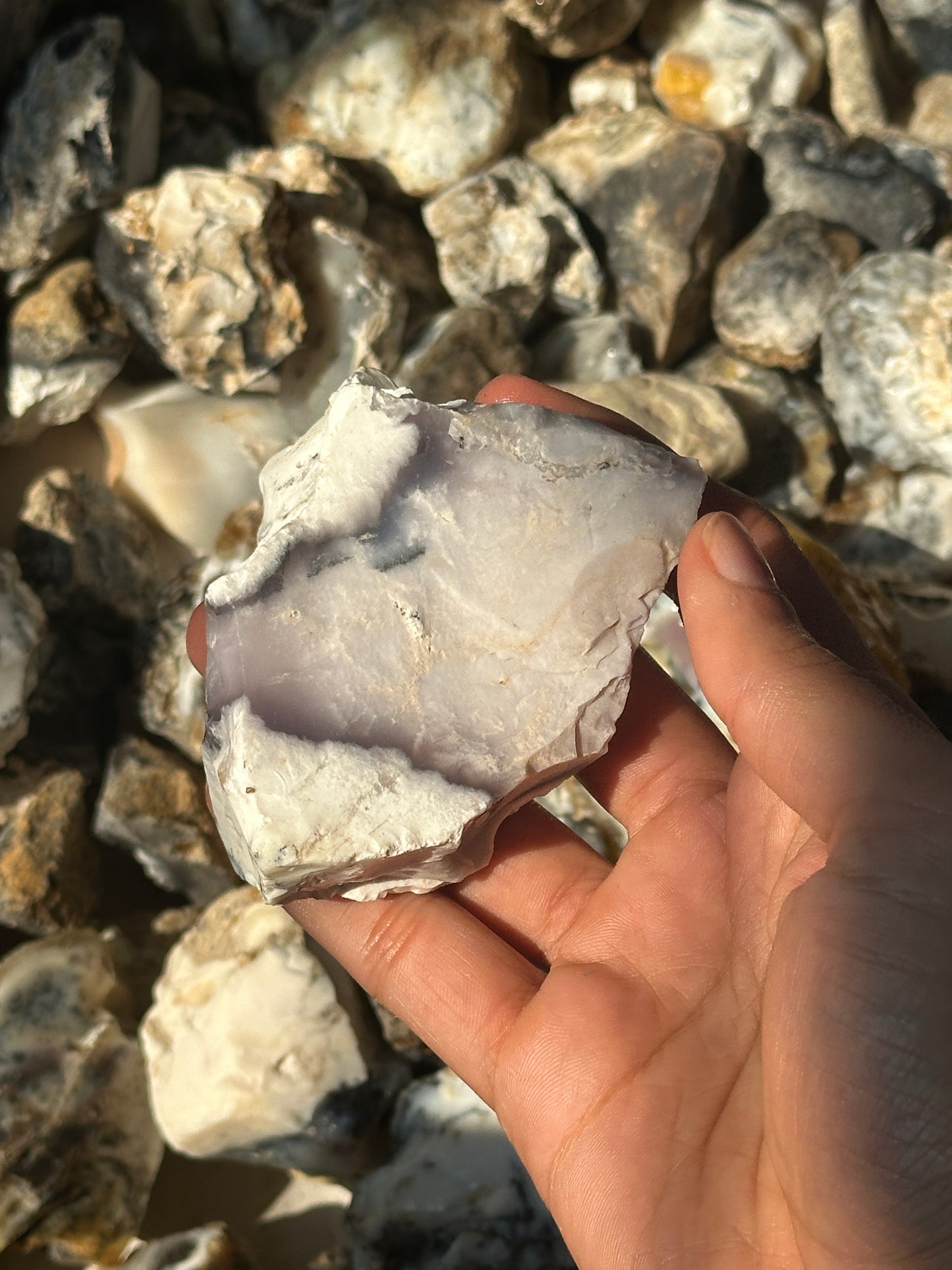 Dendritic Agate Rough