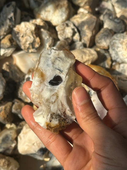 Dendritic Agate Rough