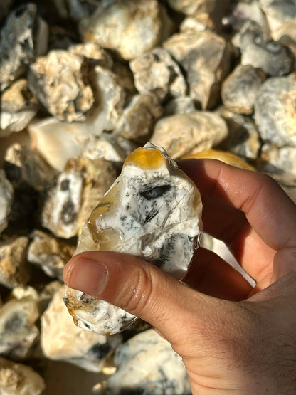 Dendritic Agate Rough