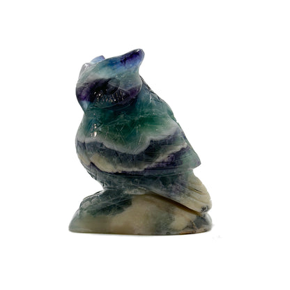 Multi-Color Fluorite Owl — 516g, 103mm