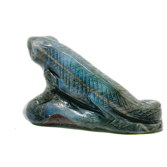 Labradorite Monitor Lizard