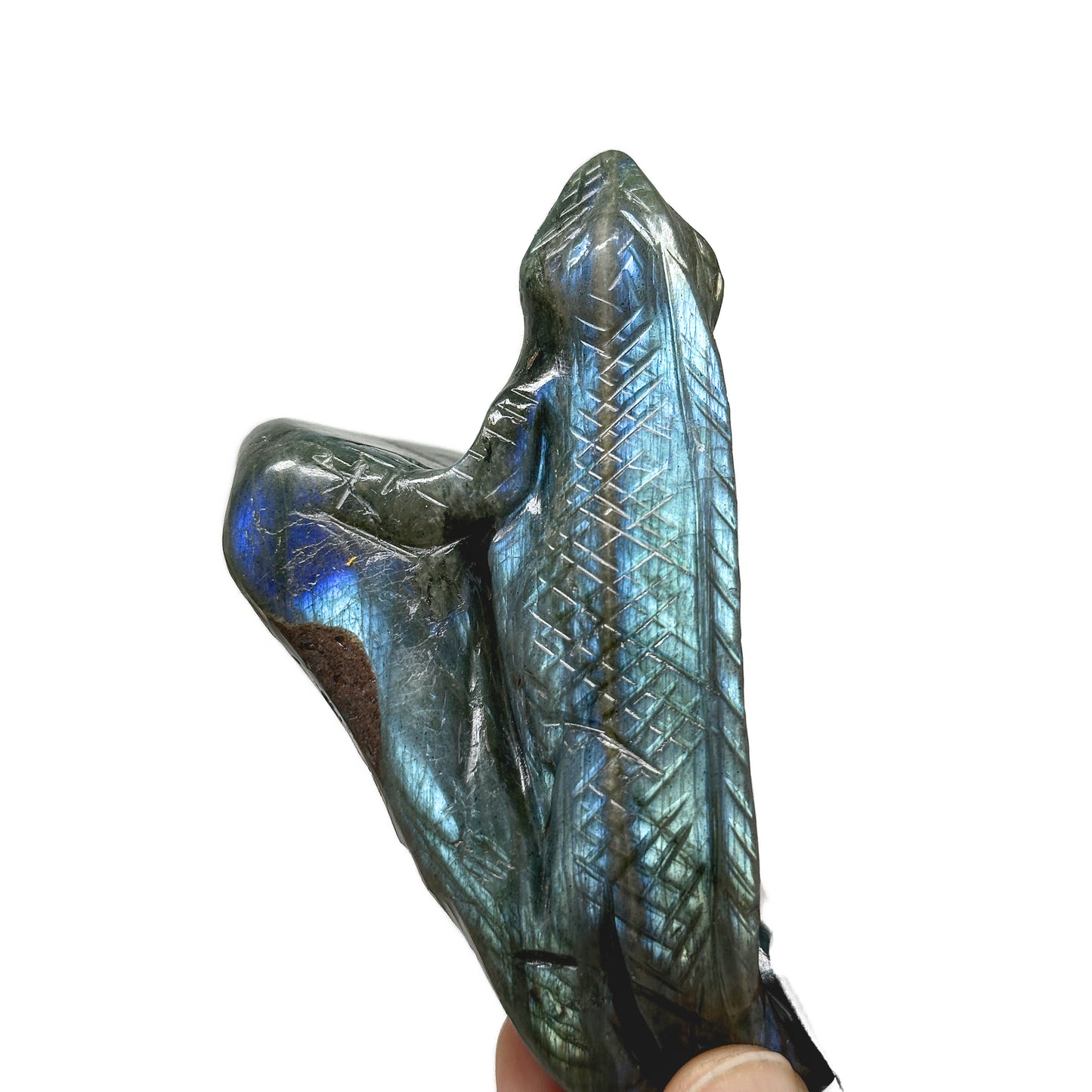 Labradorite Monitor Lizard