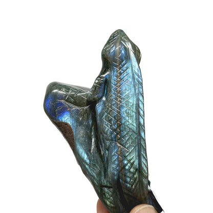 Labradorite Monitor Lizard