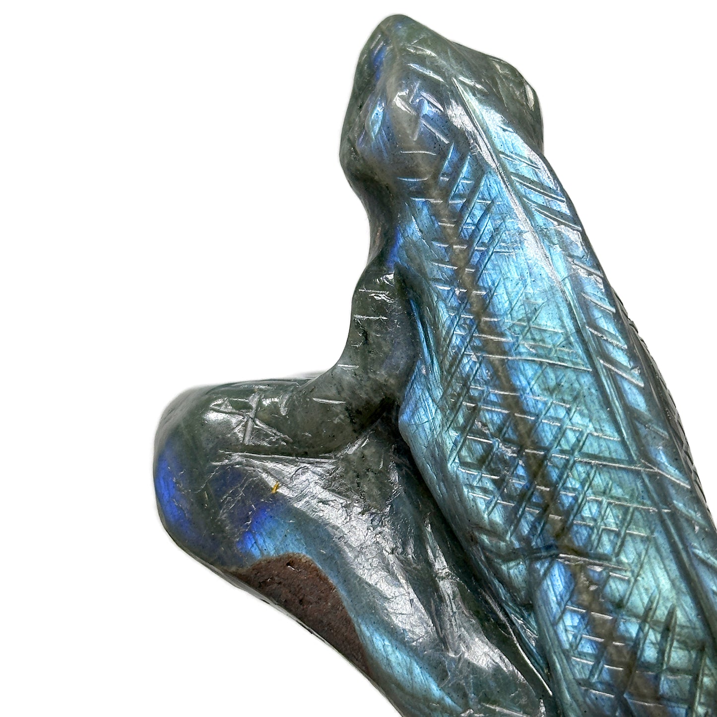 Labradorite Monitor Lizard