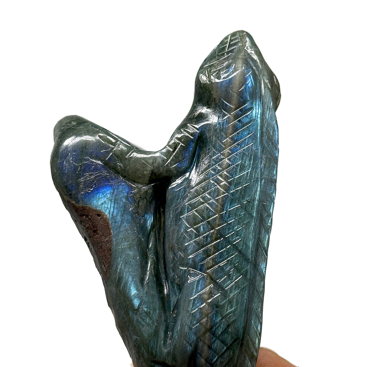 Labradorite Monitor Lizard