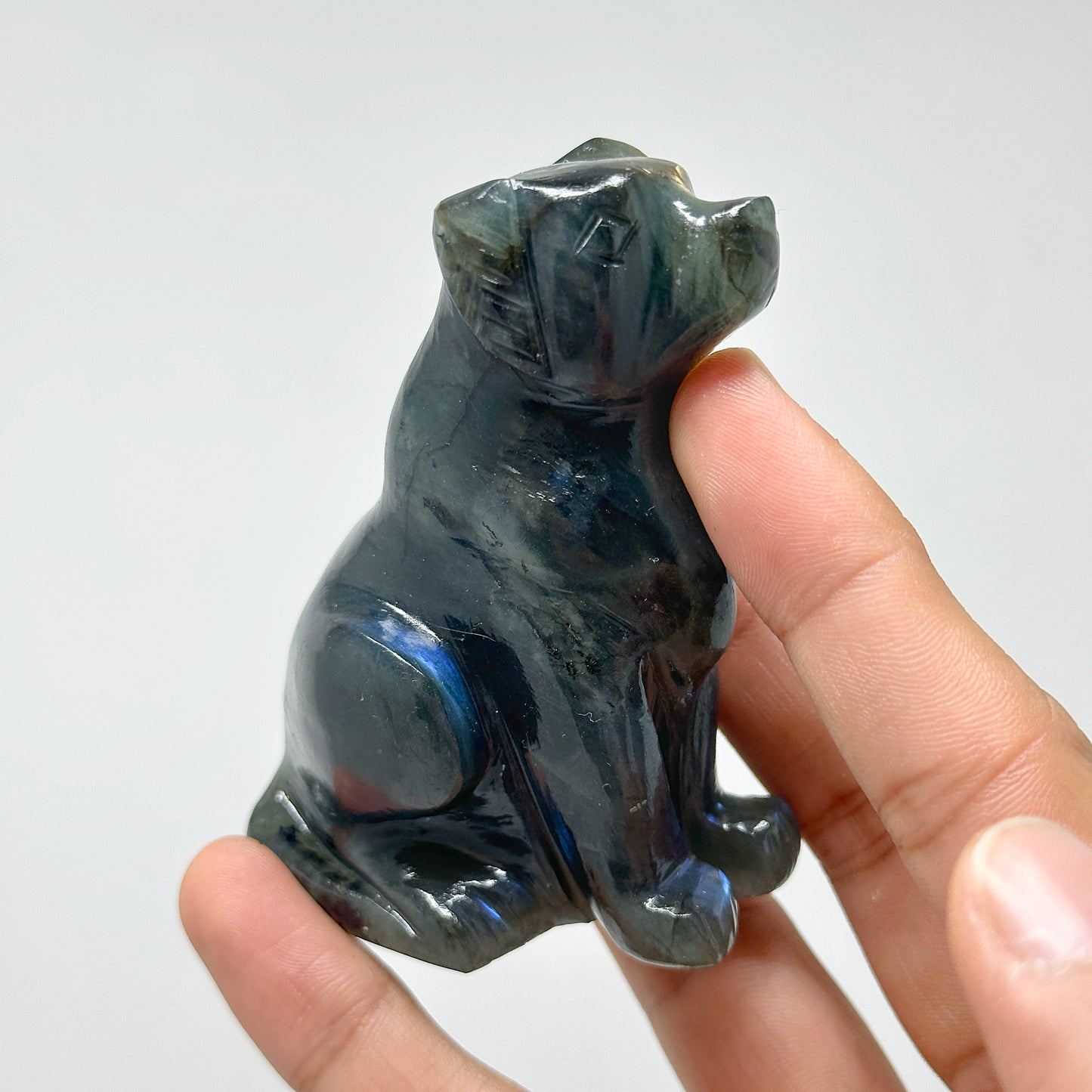 Labradorite Dog - 347g