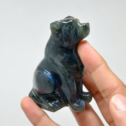 Labradorite Dog - 347g