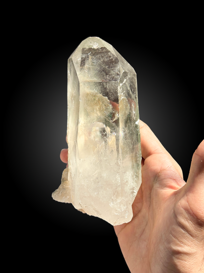 Himalayan Chlorite Quartz with Golden Rutile