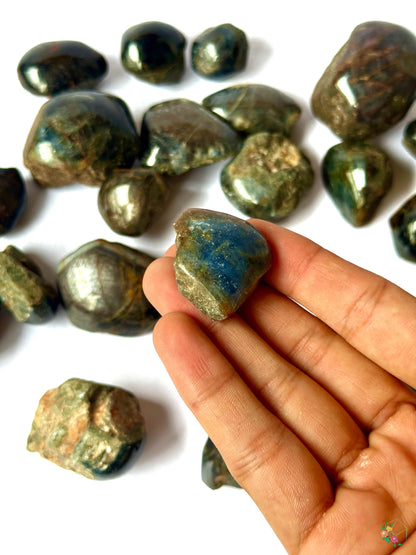 Indian Star Sapphire 1-2'' - Atyahara Rocks and Minerals