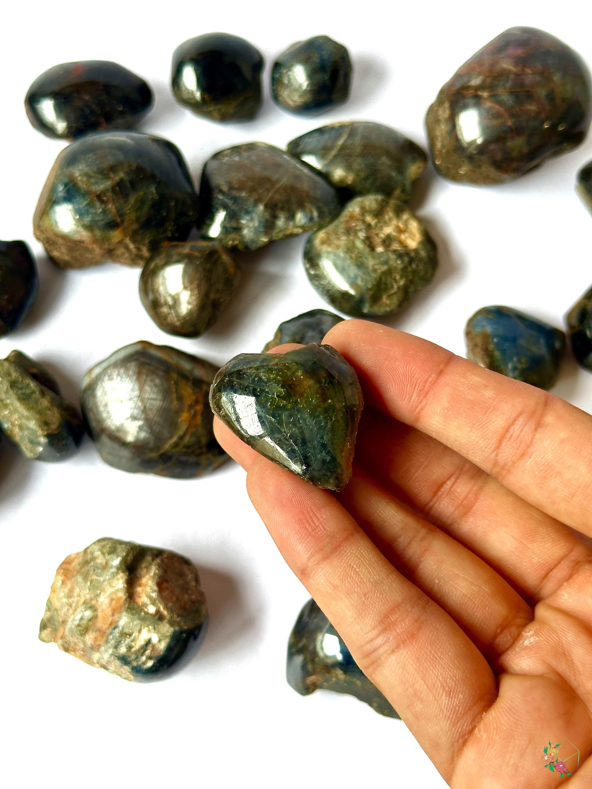 Indian Star Sapphire 1-2'' - Atyahara Rocks and Minerals