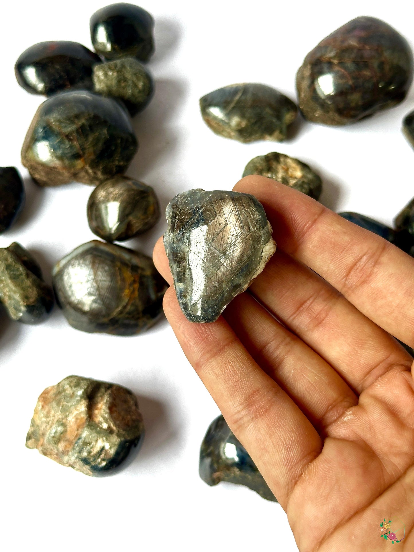 Indian Star Sapphire 1-2'' - Atyahara Rocks and Minerals