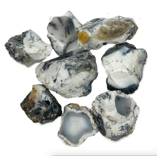 Dendritic Agate Rough