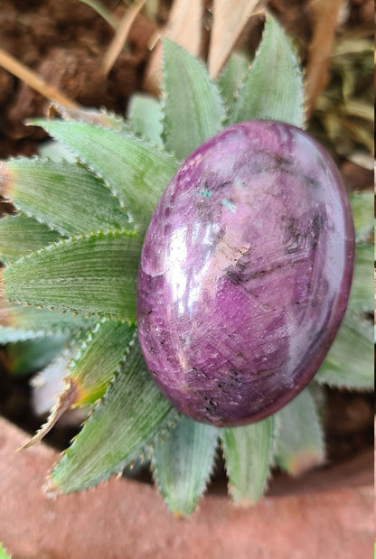 Star Ruby Lingam - Atyahara Rocks and Minerals