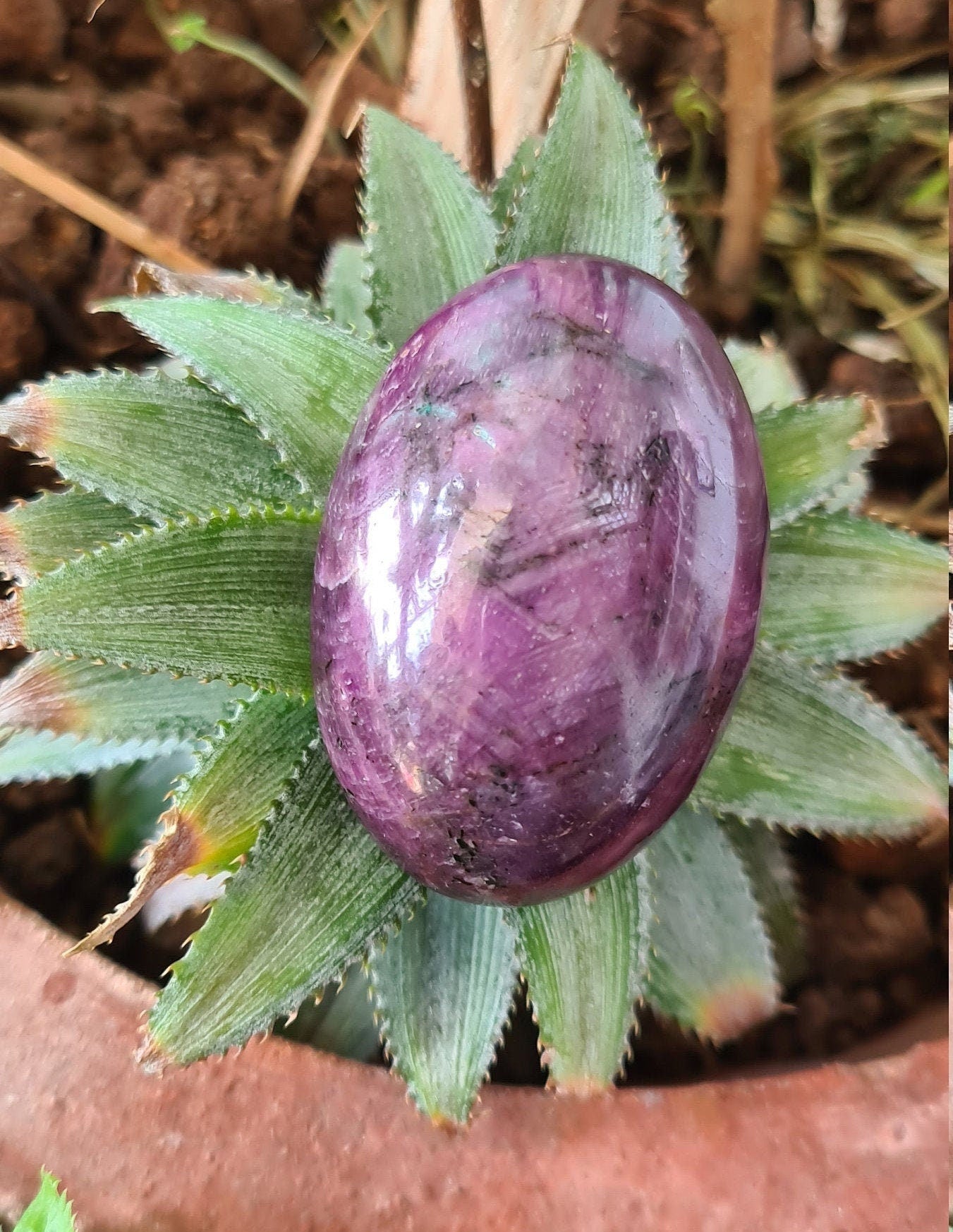 Star Ruby Lingam - Atyahara Rocks and Minerals