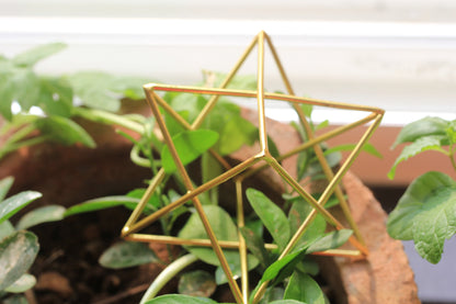 Gold-Plated Merkaba Star - Atyahara Rocks and Minerals