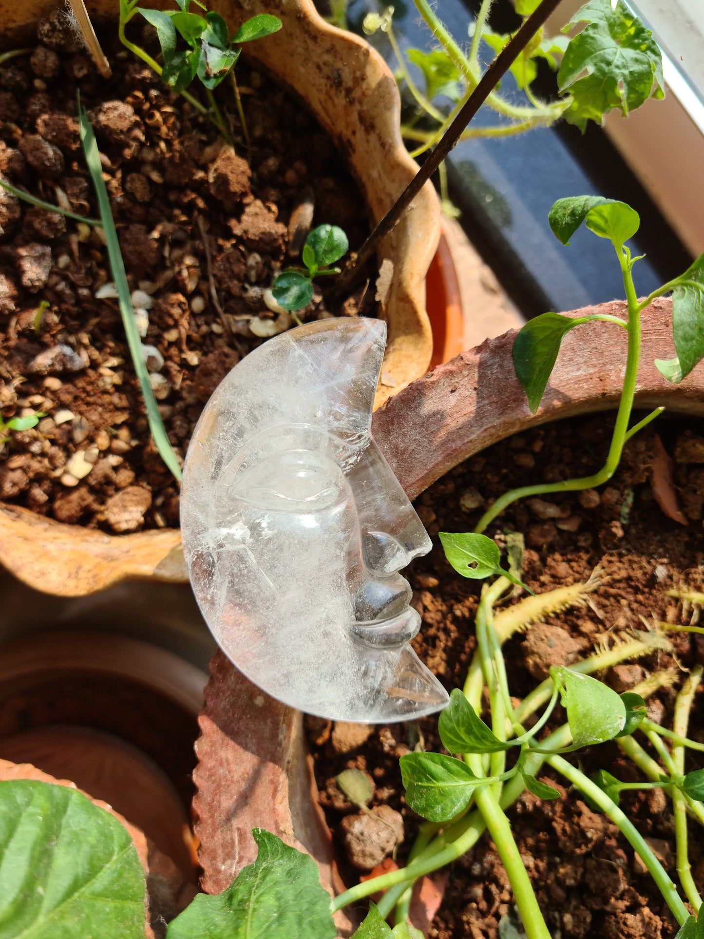 Crystal Quartz Sun and Moon Carving - Atyahara Rocks and Minerals