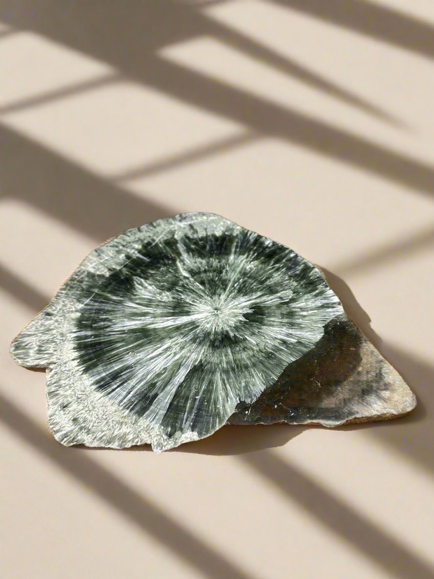 Actinolite Stone Coasters - Atyahara Rocks and Minerals