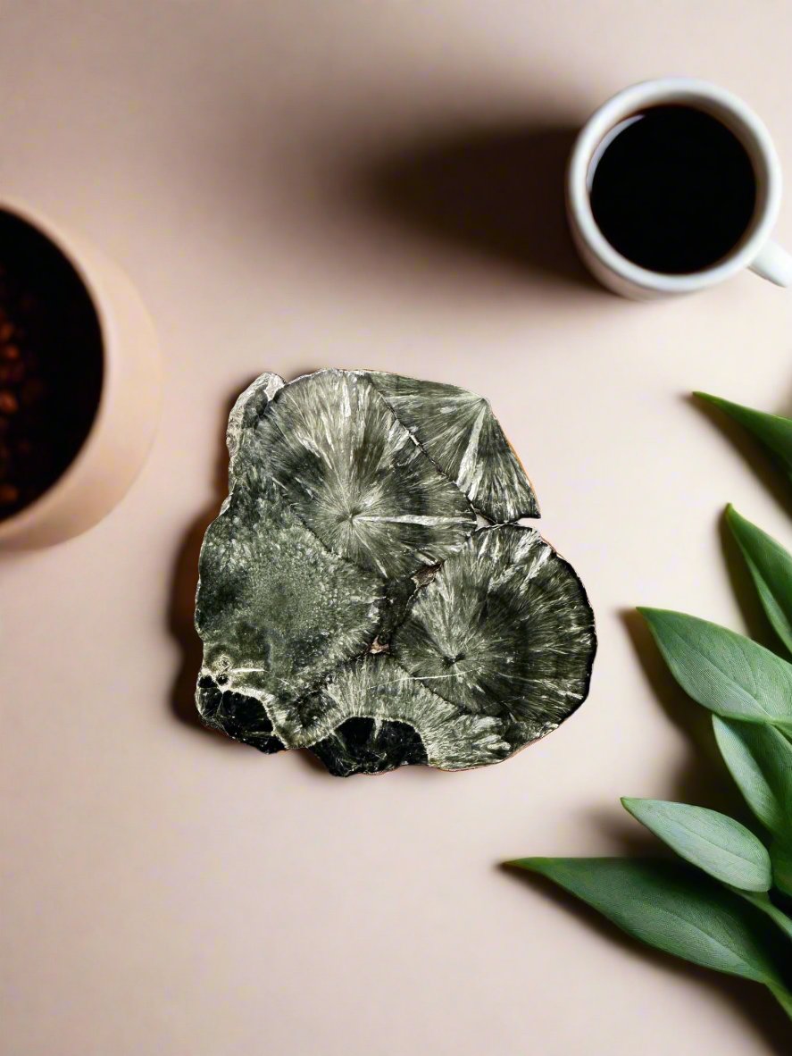 Actinolite Stone Coasters - Atyahara Rocks and Minerals