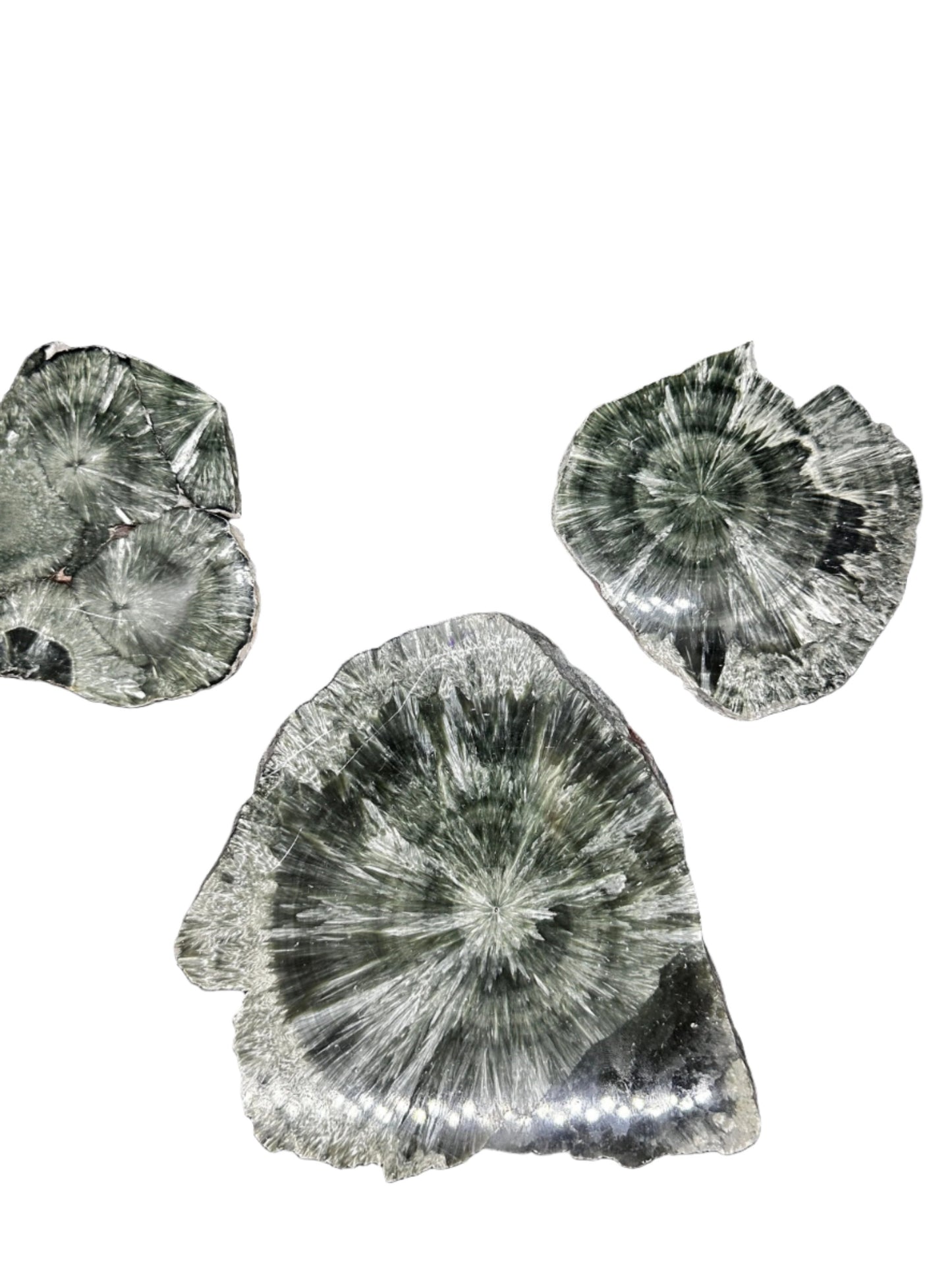 Actinolite Stone Coasters - Atyahara Rocks and Minerals