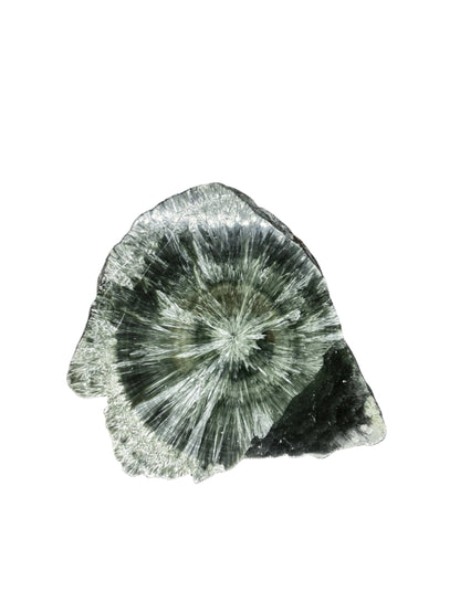 Actinolite Stone Coasters - Atyahara Rocks and Minerals