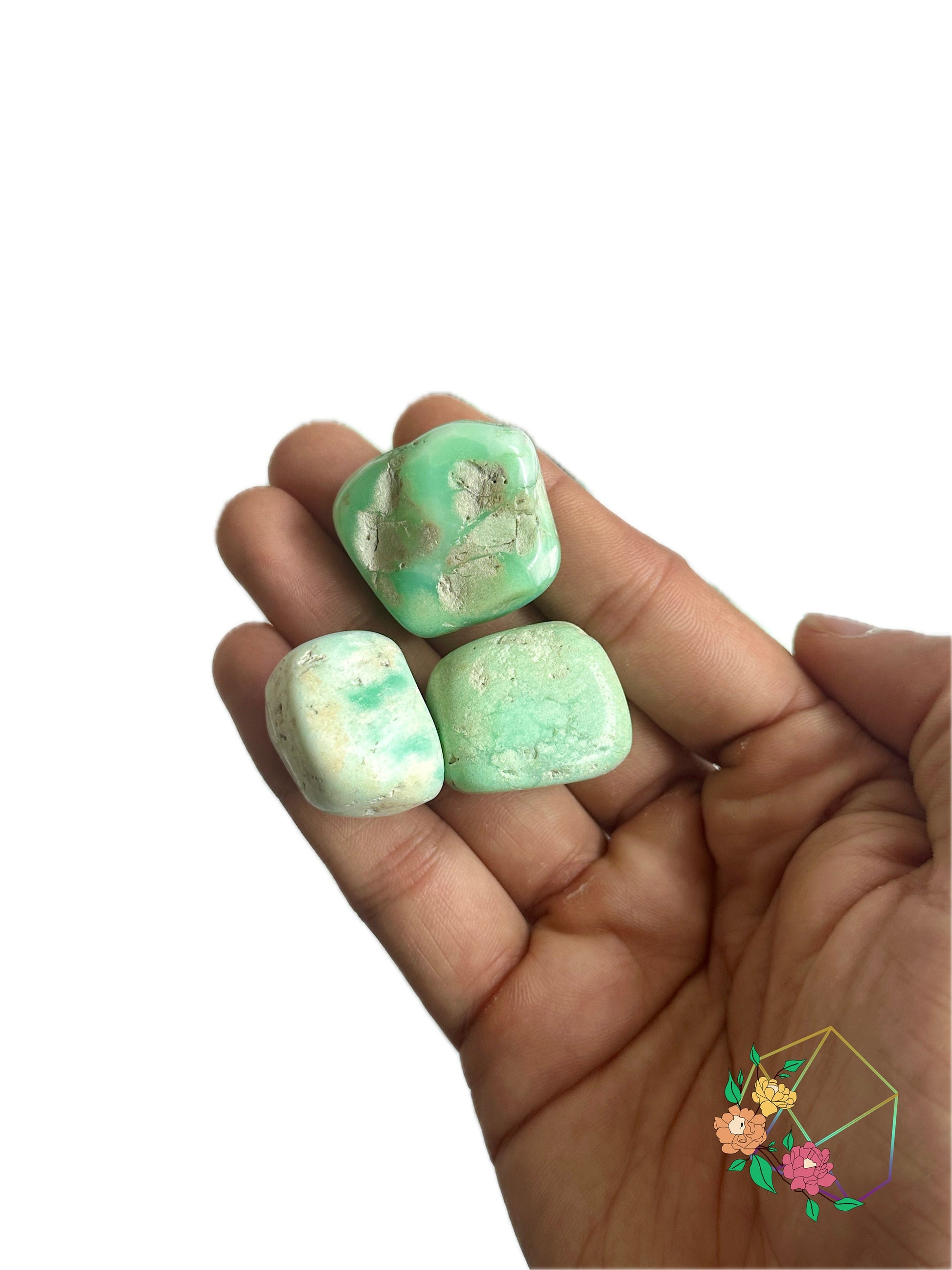 Chrysoprase Tumbled Stones - Atyahara Rocks and Minerals