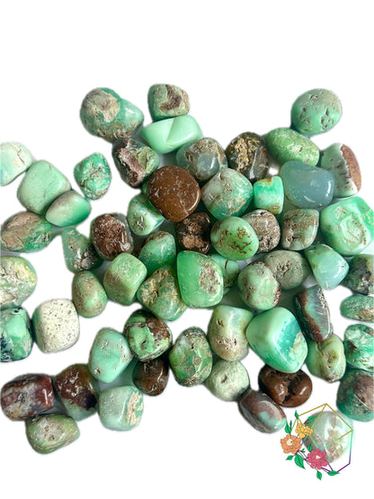 Chrysoprase Tumbled Stones - Atyahara Rocks and Minerals