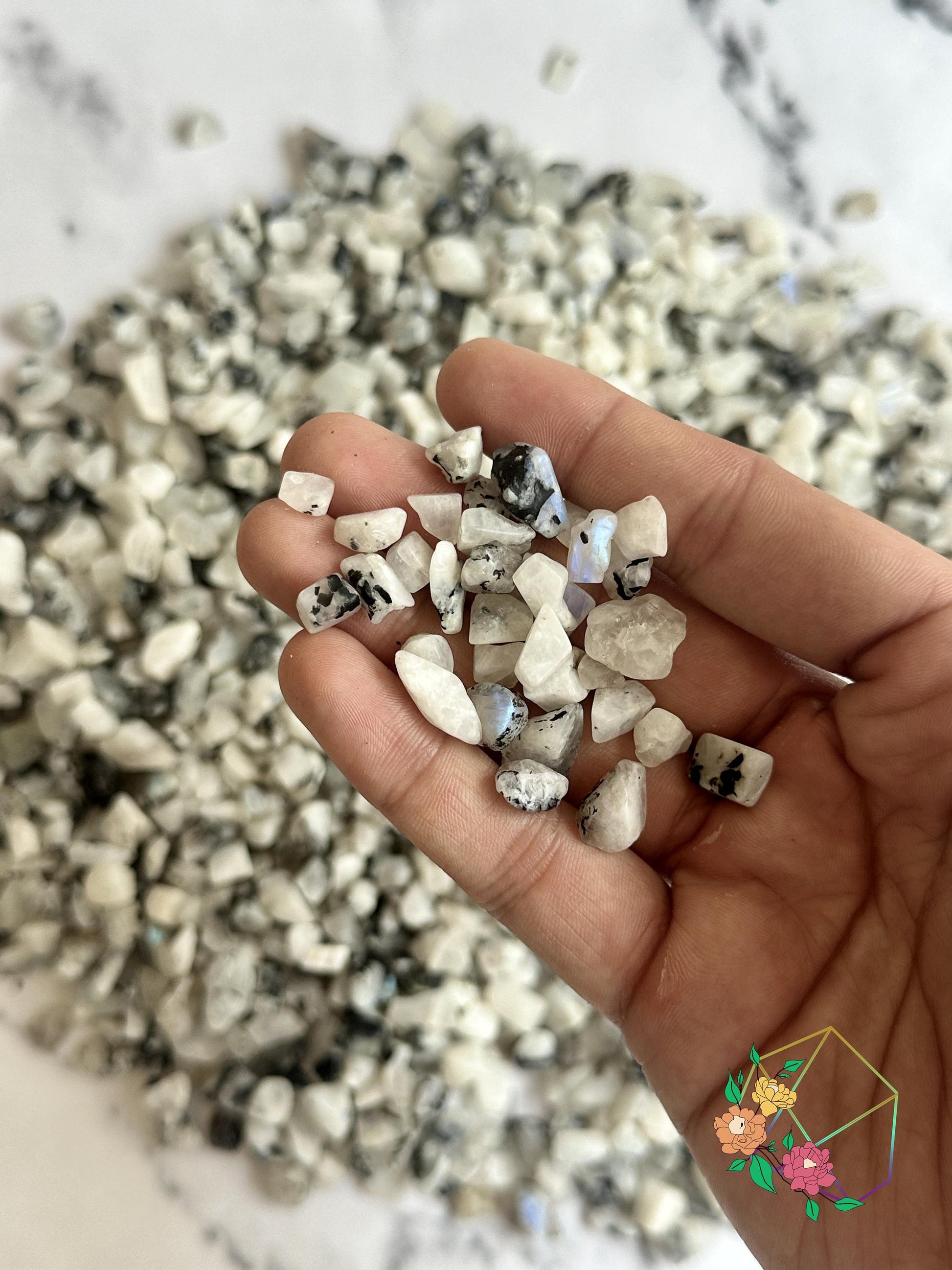 White Rainbow Moonstone Chips - Atyahara Rocks and Minerals