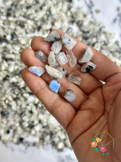 White Rainbow Moonstone Chips - Atyahara Rocks and Minerals