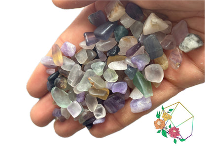 Rainbow Multi Fluorite Chips - Atyahara Rocks and Minerals