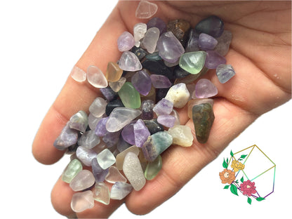 Rainbow Multi Fluorite Chips - Atyahara Rocks and Minerals