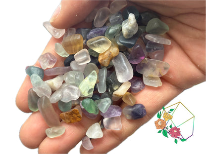 Rainbow Multi Fluorite Chips - Atyahara Rocks and Minerals