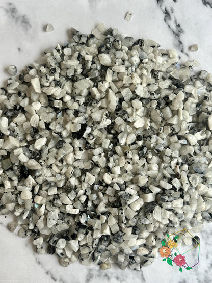 White Rainbow Moonstone Chips - Atyahara Rocks and Minerals