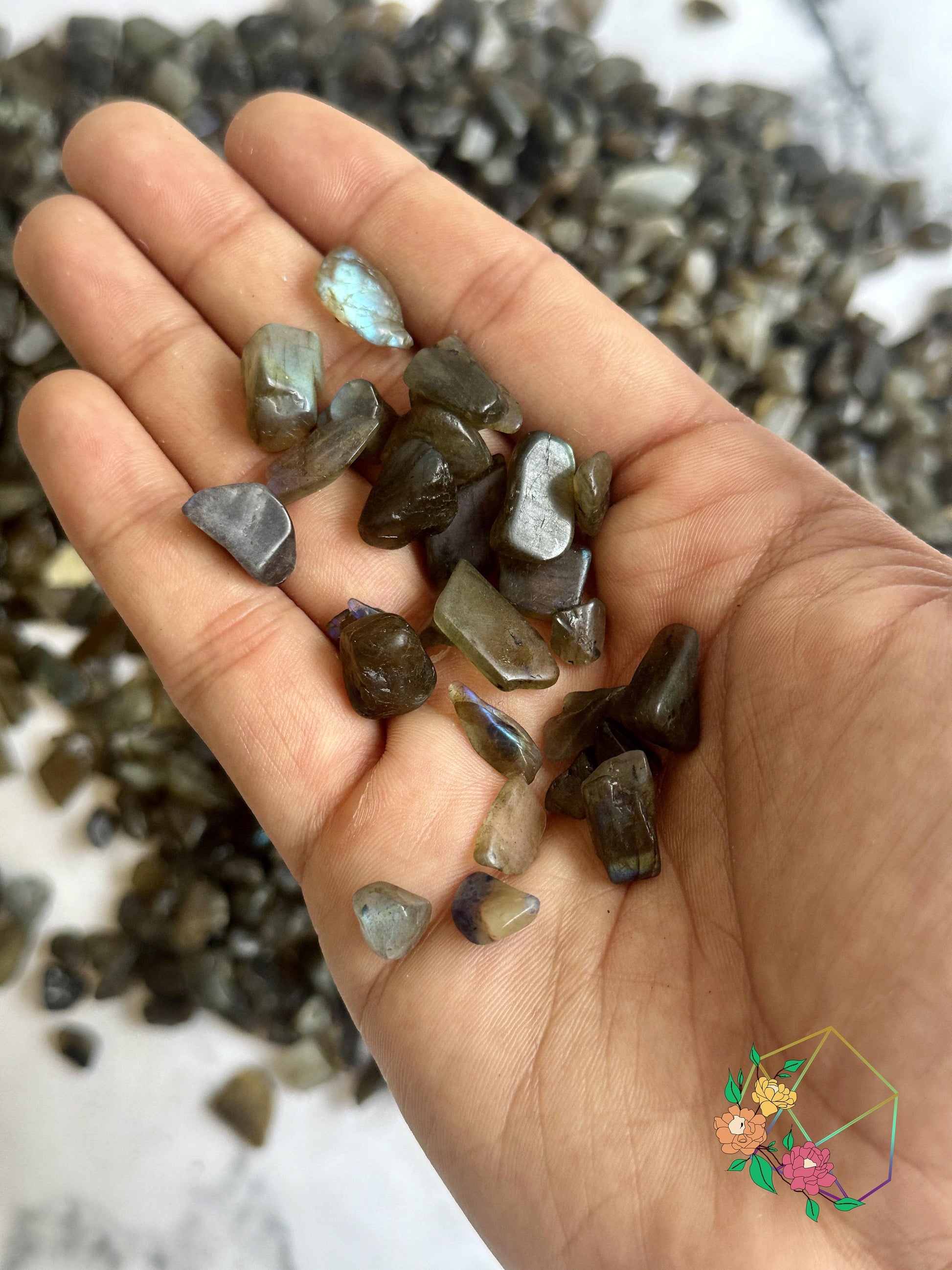 Labradorite Chips - Atyahara Rocks and Minerals