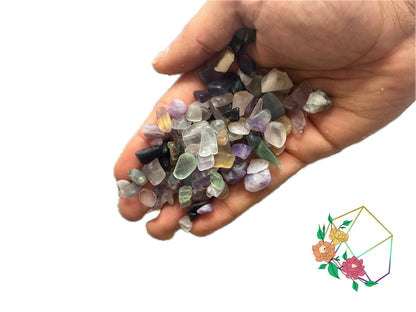 Rainbow Multi Fluorite Chips - Atyahara Rocks and Minerals